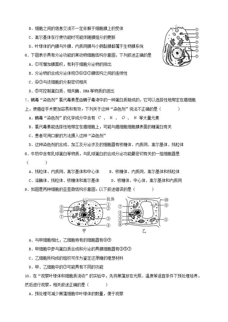 3.2细胞器之间的分工合作第2课时导学案 高中生物人教版必修103