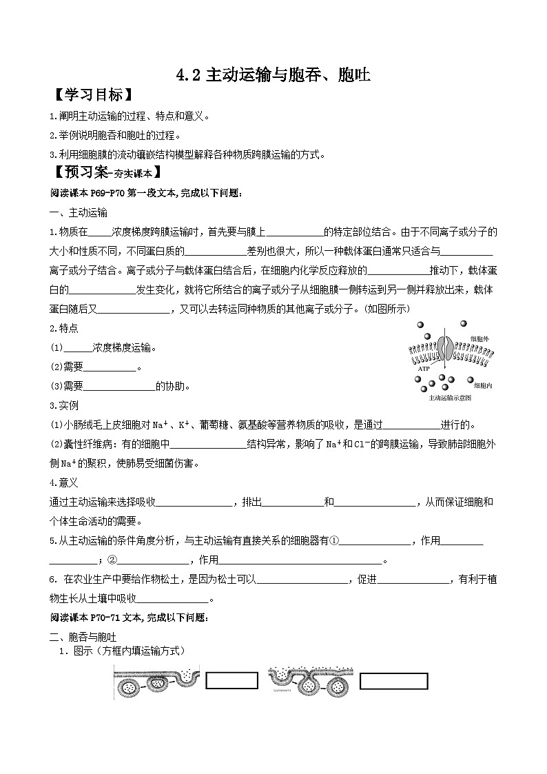 4.2主动运输与胞吞、胞吐导学案 高中生物人教版必修101