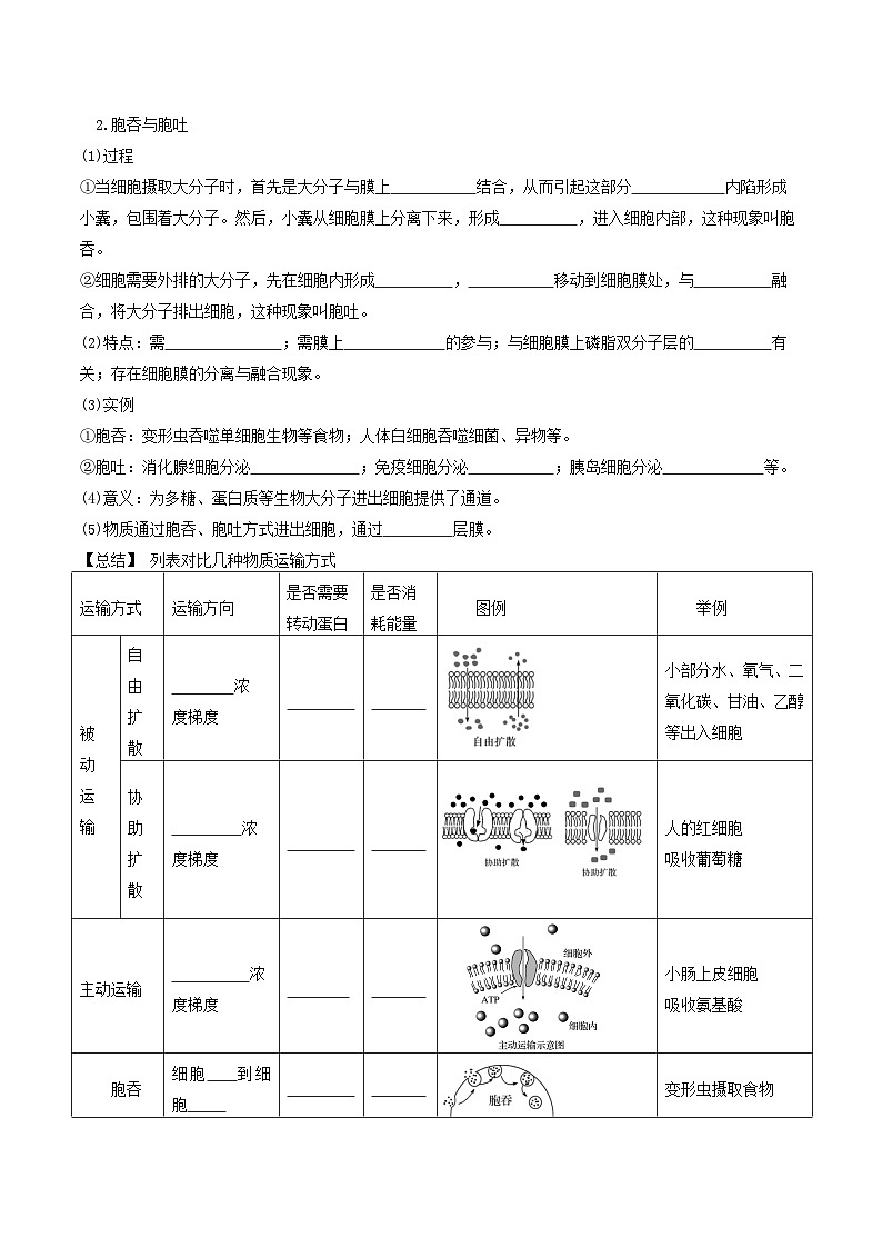 4.2主动运输与胞吞、胞吐导学案 高中生物人教版必修102