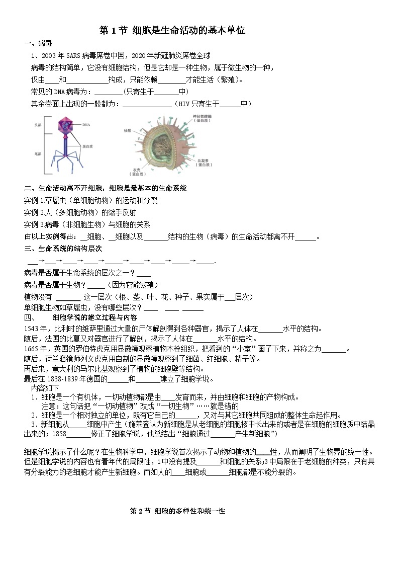 第1章 走近细胞 学案  高中生物人教版必修101