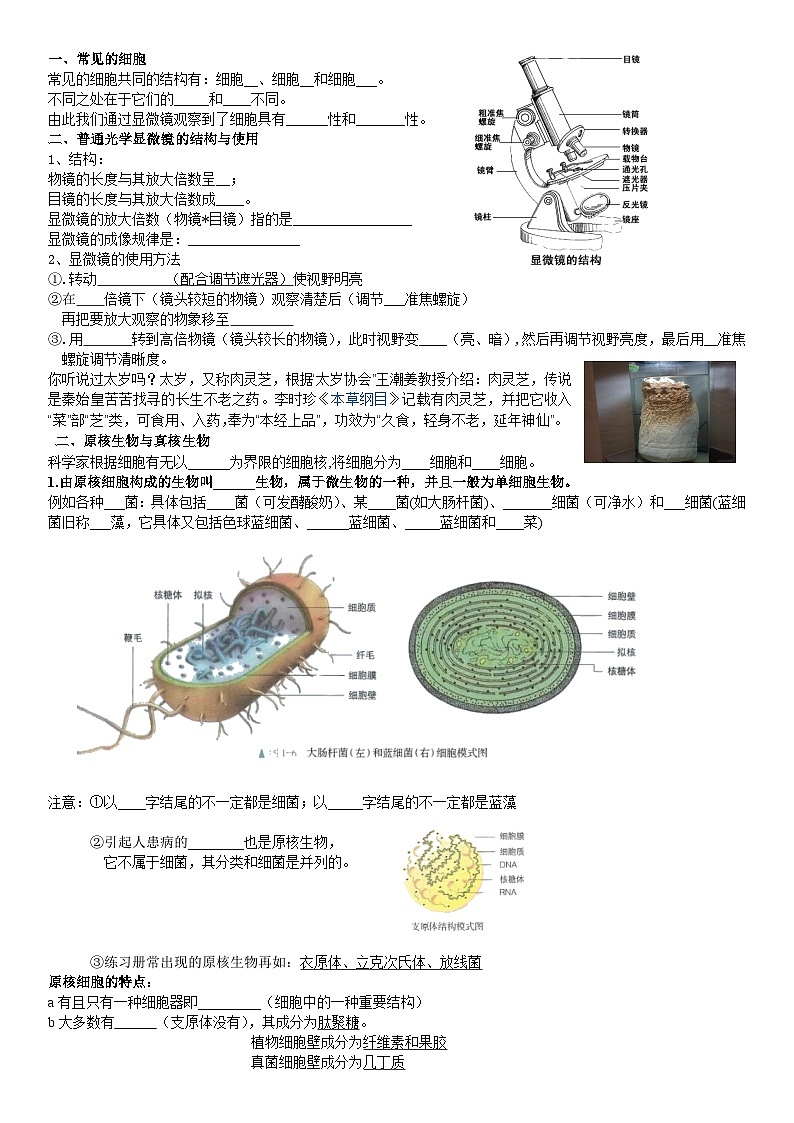 第1章 走近细胞 学案  高中生物人教版必修102