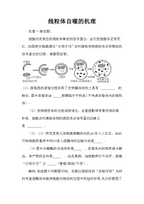 备课素材知识点：线粒体自噬的机理- 高中生物人教版必修1