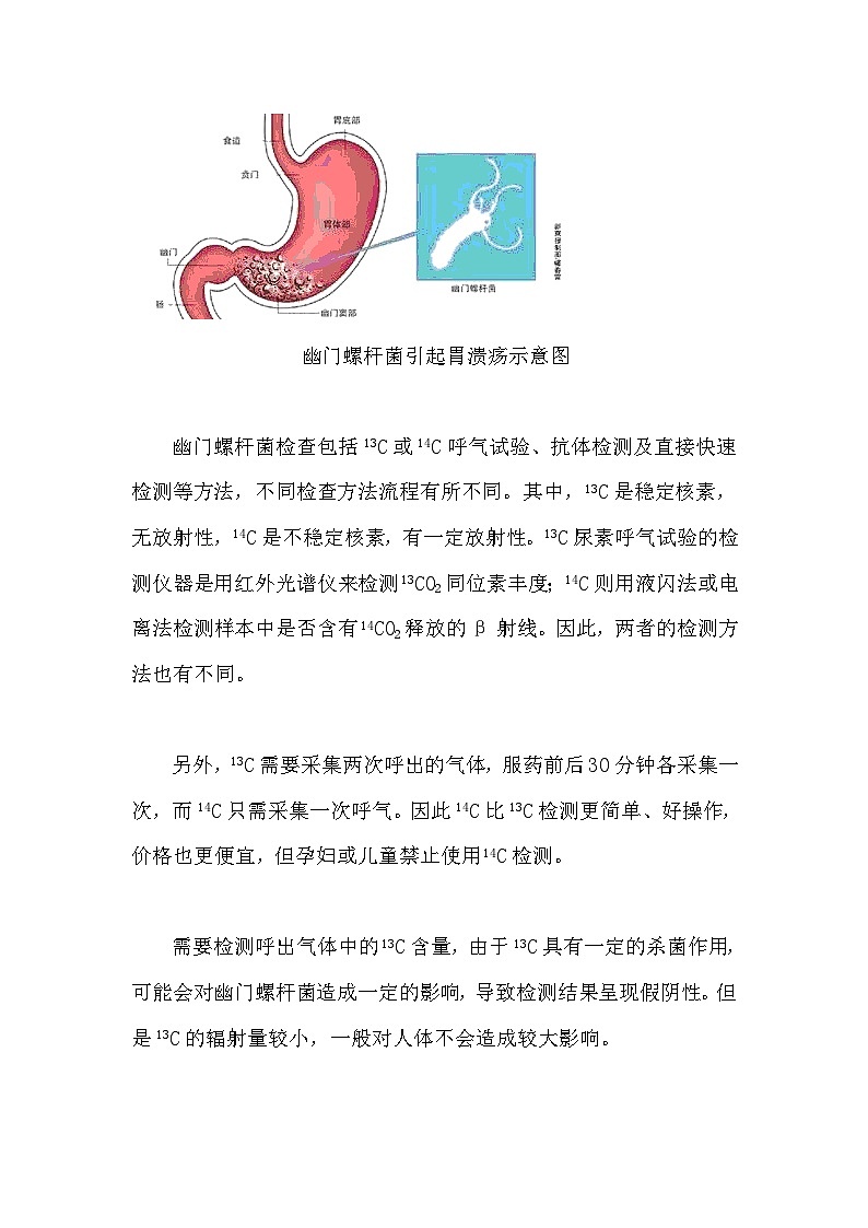 备课素材知识点：幽门螺杆菌及其检测-课件 高中生物人教版必修103