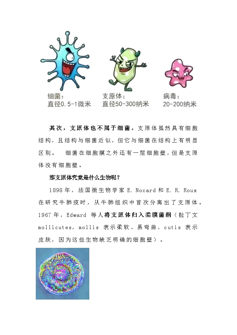 备课素材知识点：支原体及支原体肺炎- 高中生物人教版必修1第2页
