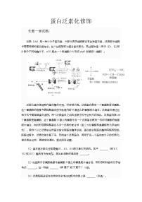 备课素材知识点：蛋白泛素化修饰  高中生物人教版必修1