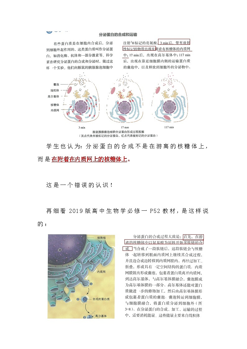 备课素材知识点：分泌蛋白是在哪里合成的 高中生物人教版必修一02