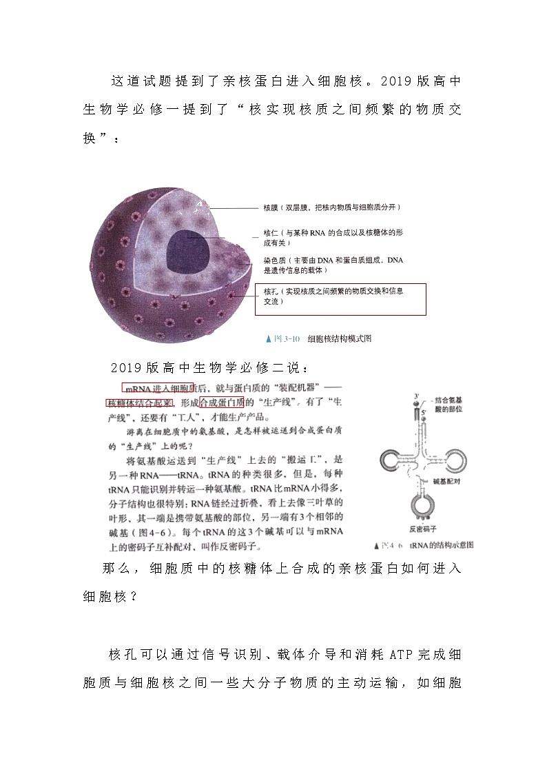 备课素材知识点：亲核蛋白进入核孔- 高中生物人教版必修1第2页