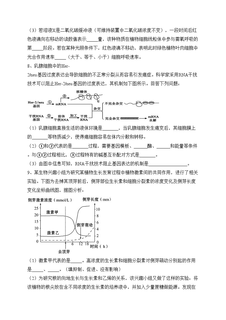 四川省仁寿第一中学南校区2024届高三上学期12月月考生物试卷(含答案)03