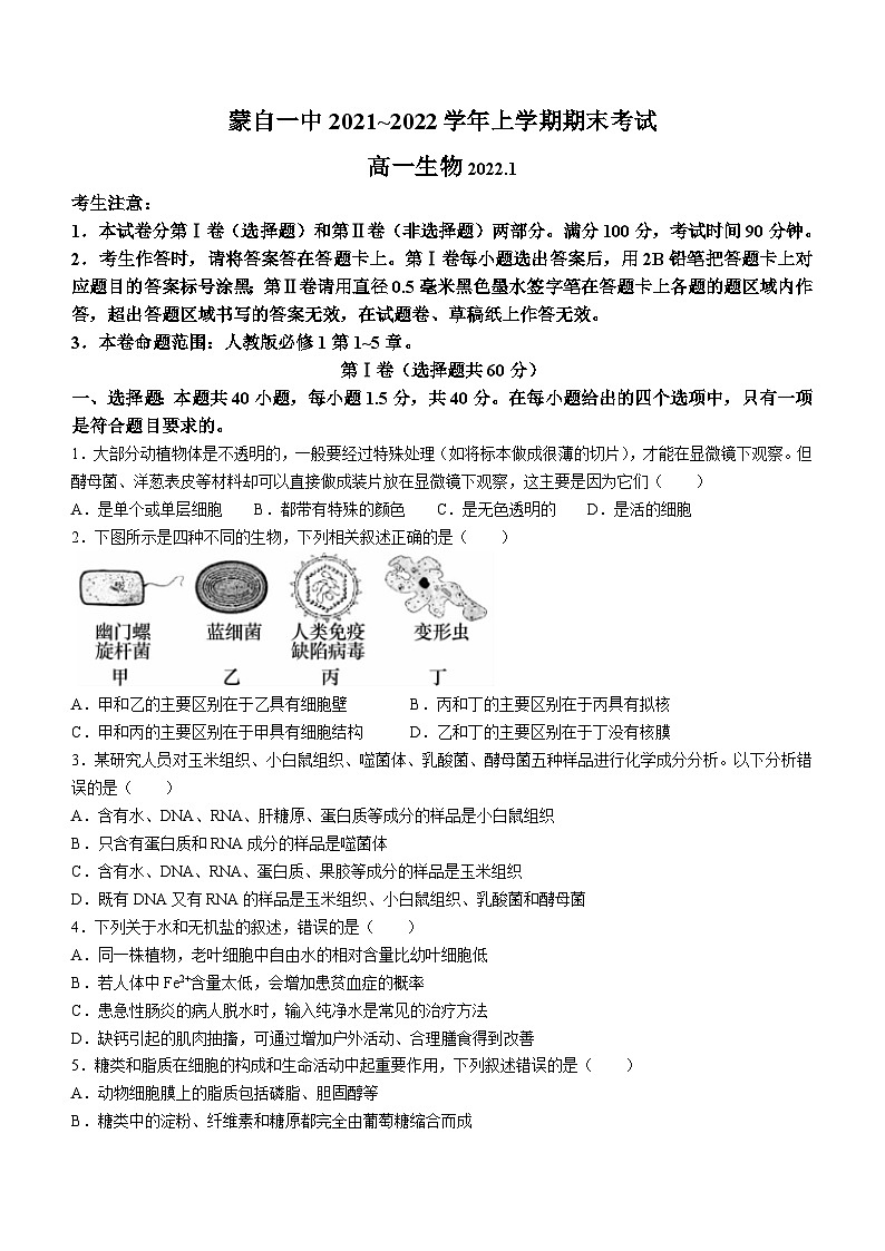 云南省红河州蒙自市一中2021-2022学年高一上学期期末生物试题第1页