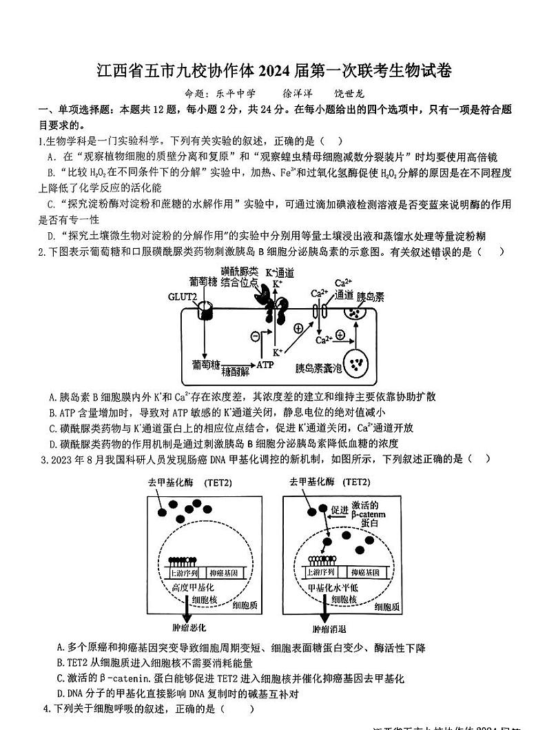 江西省五市九校协作体2023-2024学年高三上学期第一次联考生物试题及答案01