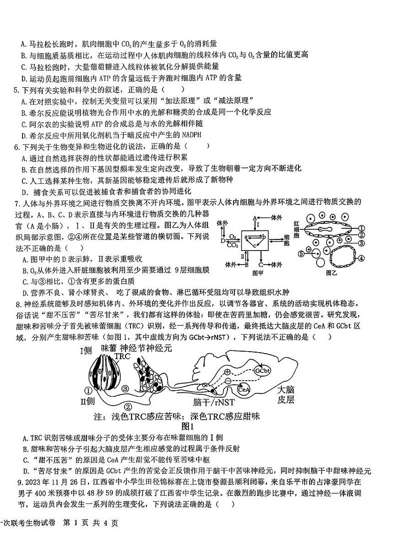 江西省五市九校协作体2023-2024学年高三上学期第一次联考生物试题及答案02