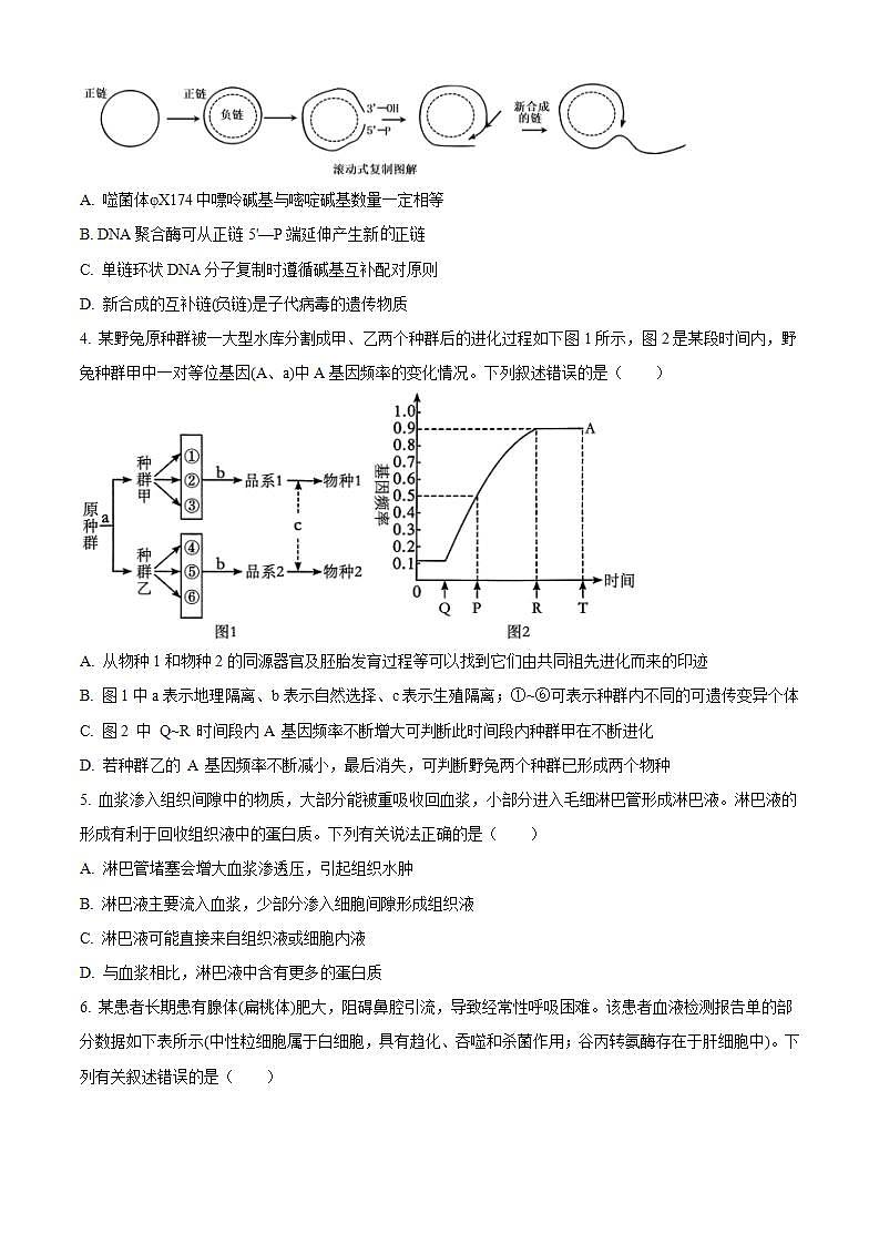 2024长沙雅礼中学高三上学期月考（四）生物试卷含解析02