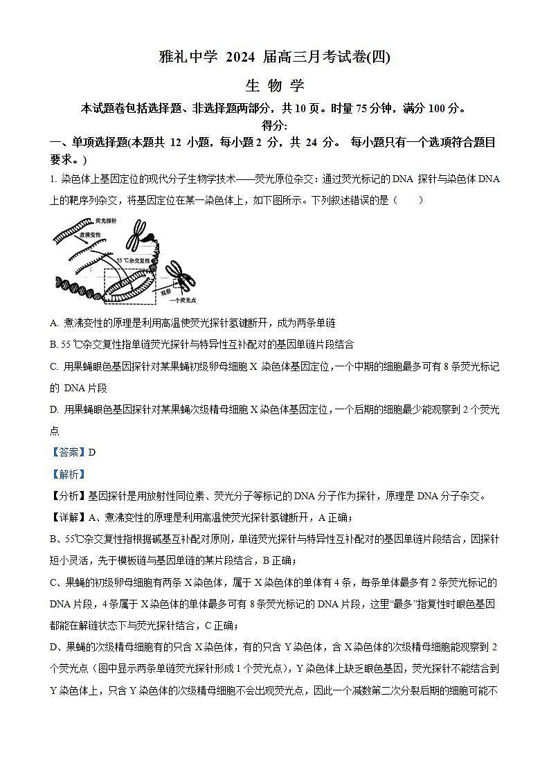 2024长沙雅礼中学高三上学期月考（四）生物试卷含解析01