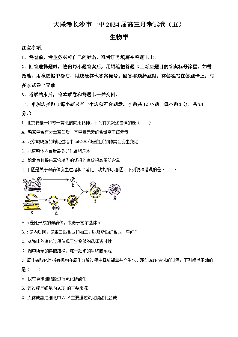 2024长沙一中高三上学期月考试卷（五）生物含解析01