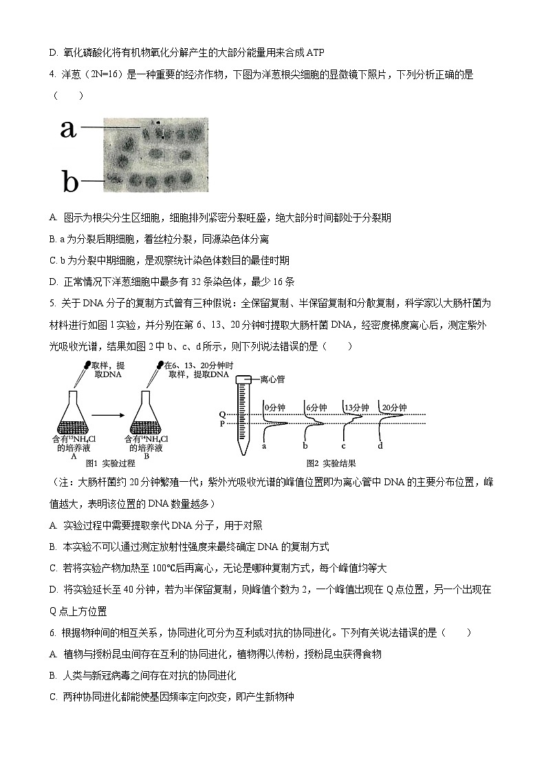 2024长沙一中高三上学期月考试卷（五）生物含解析02