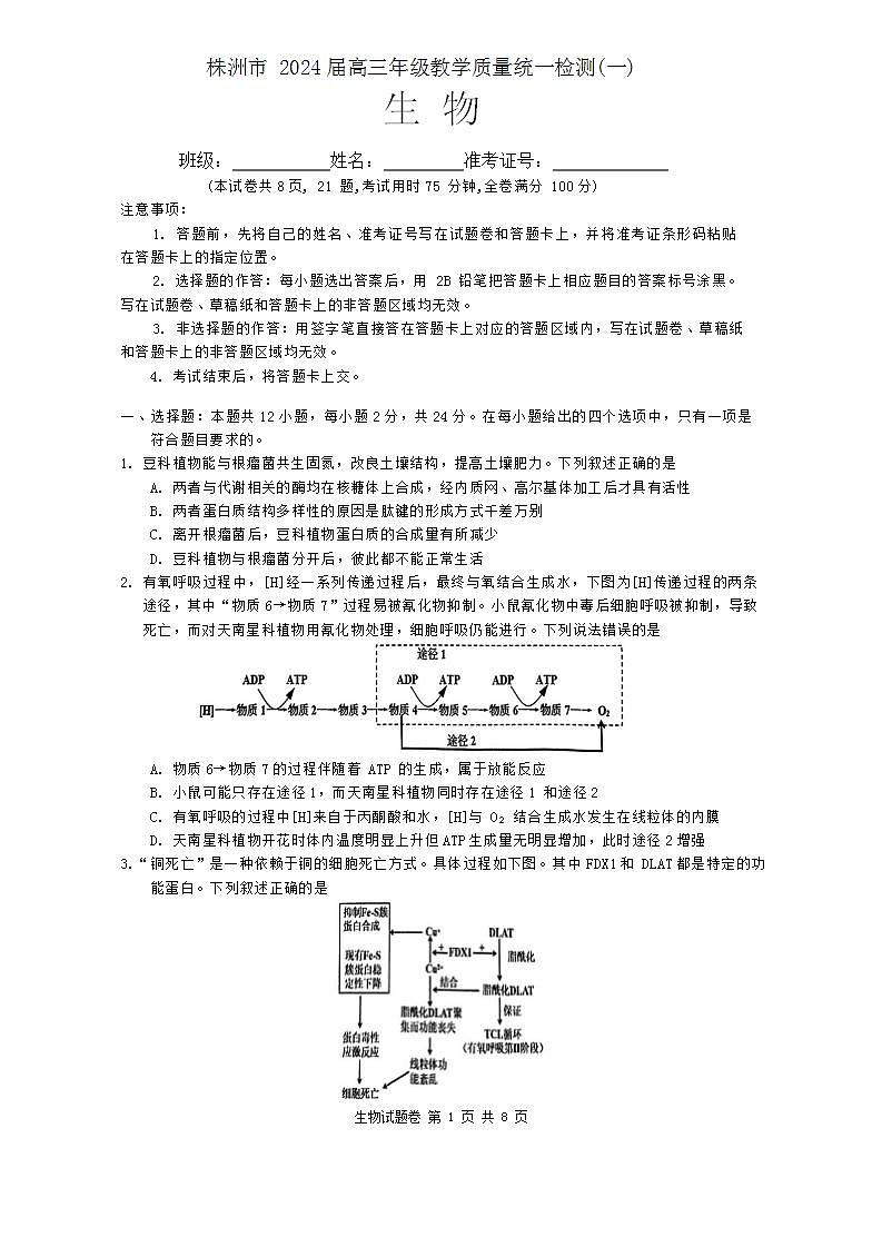 2024株洲高三上学期教学质量统一检测（一）生物试卷含答案01
