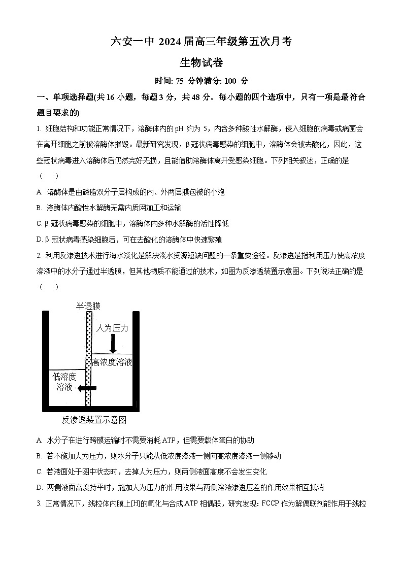 2024六安一中高三上学期第五次月考生物试题含解析01