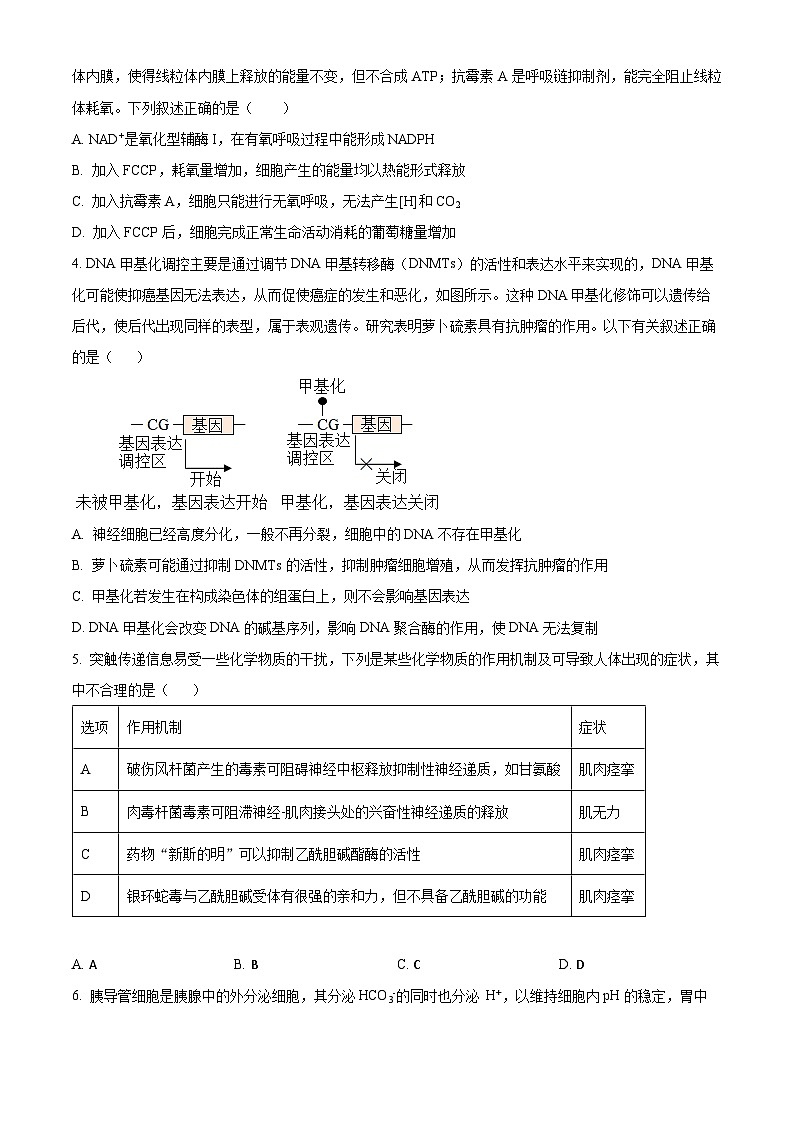 2024六安一中高三上学期第五次月考生物试题含解析02