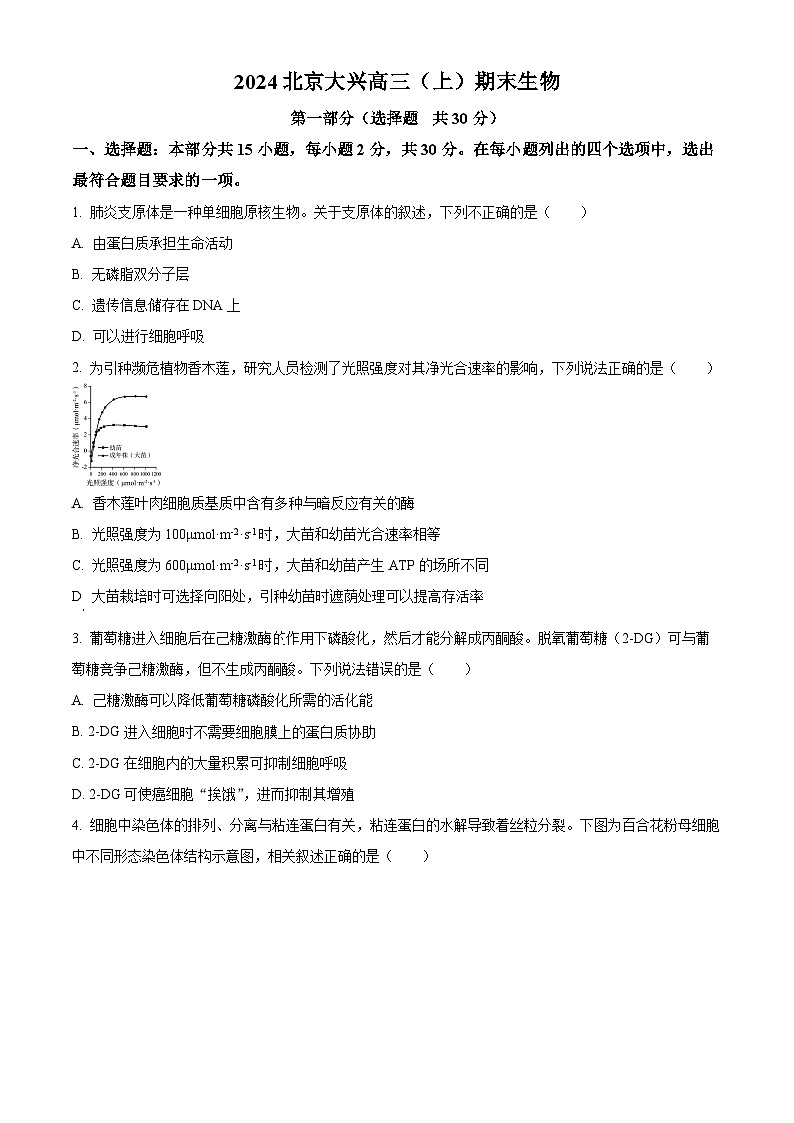 2024北京大兴区高三上学期期末考试生物含解析第1页