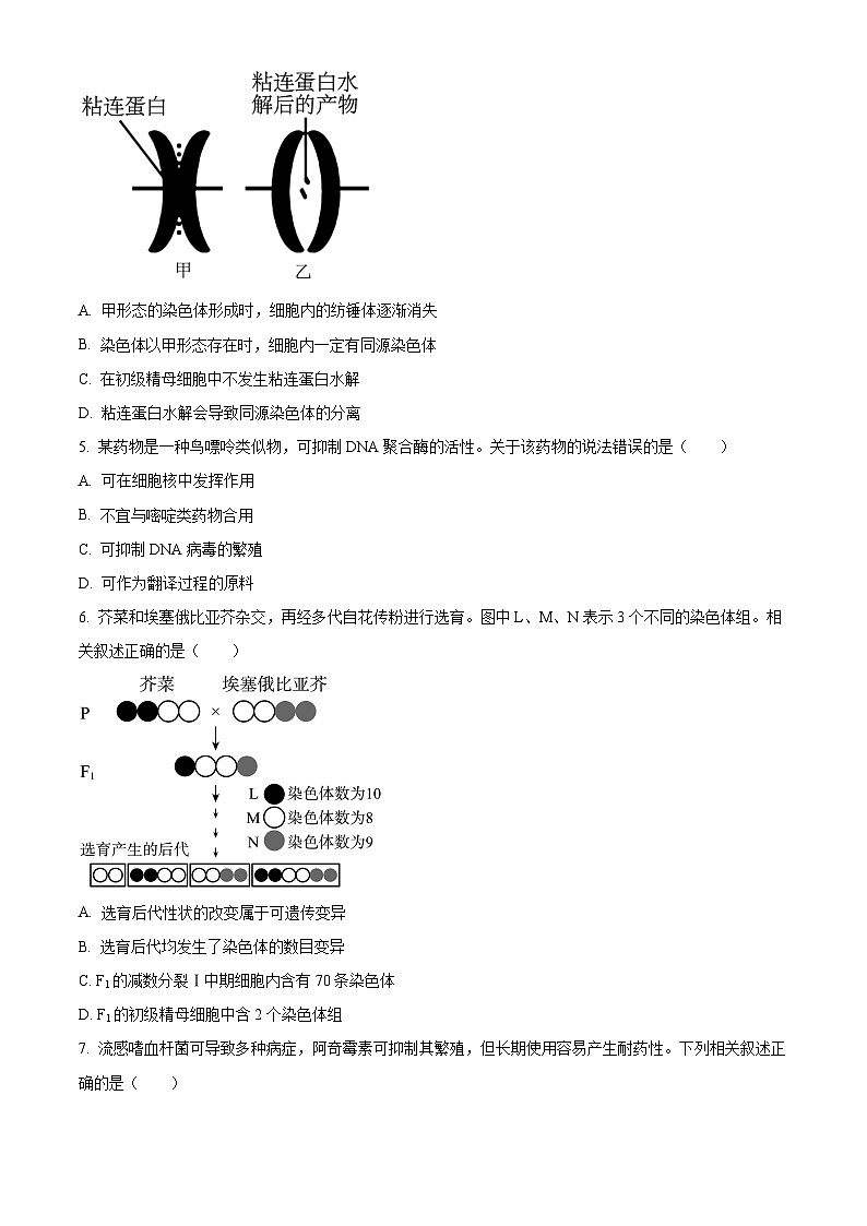 2024北京大兴区高三上学期期末考试生物含解析第2页