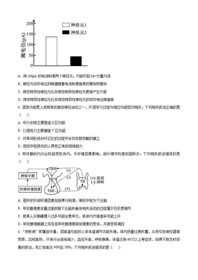 2024安徽省江淮名校高二上学期12月联考生物试题含解析02