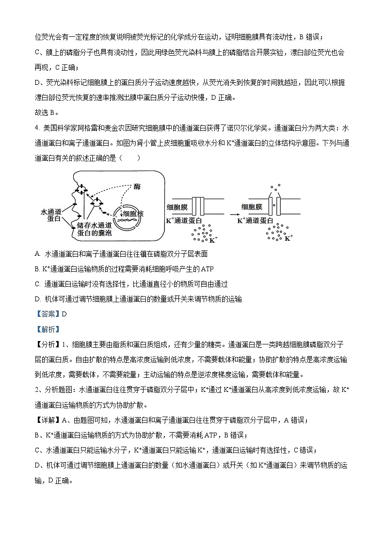安徽省“皖江名校联盟”2023-2024学年高三上学期12月月考生物试题（Word版附解析）03