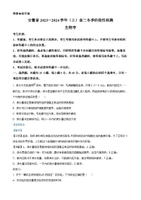 安徽省2023-2024学年高二上学期冬季阶段性检测生物试题（Word版附解析）