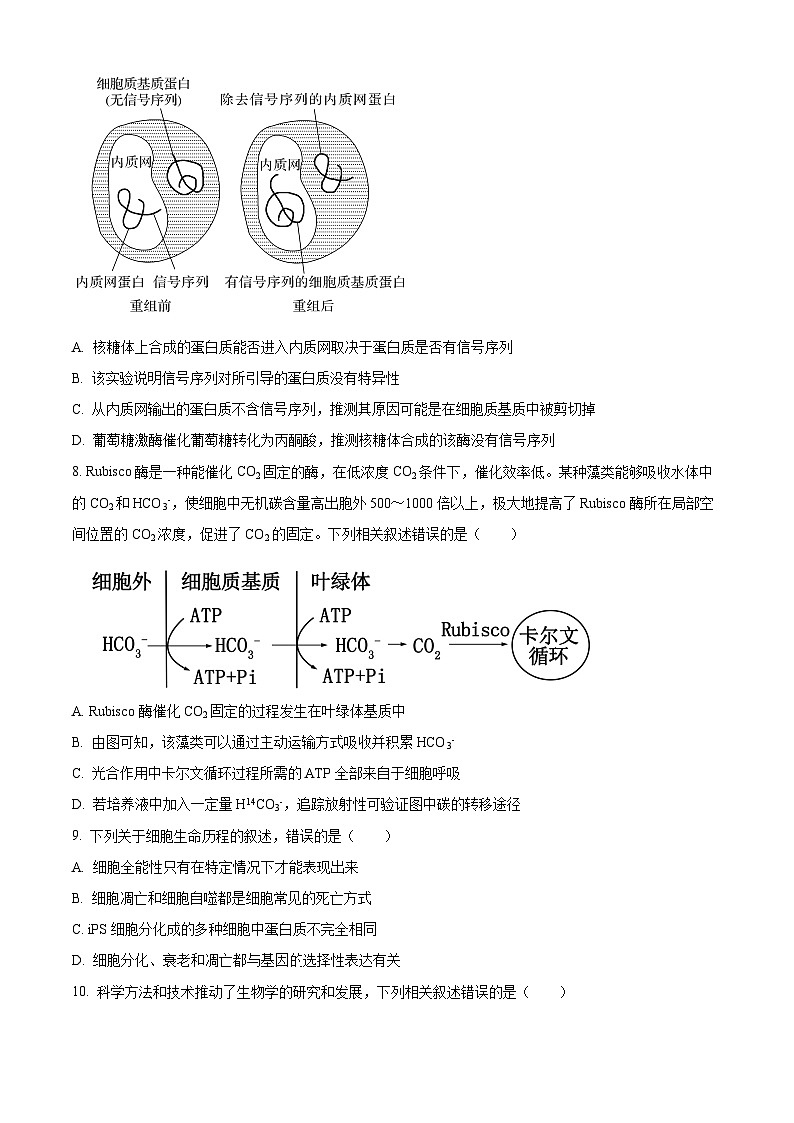 安徽省江淮十校2024届高三上学期联考模拟预测生物试题（Word版附答案）第3页