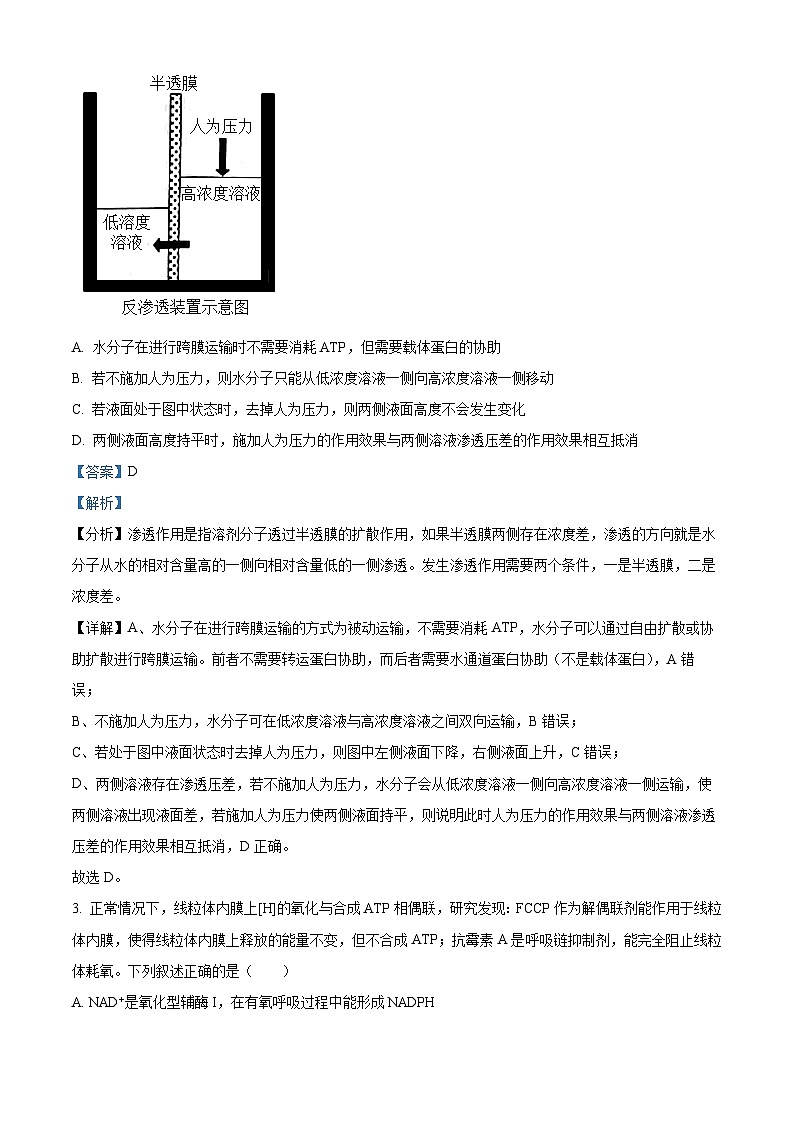 安徽省六安市第一中学2023-2024学年高三上学期第五次月考生物试题（Word版附解析）02