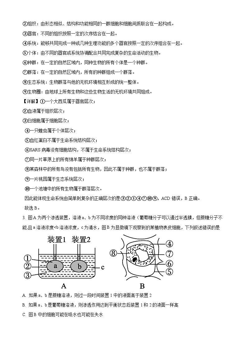 安徽省芜湖市安徽师范大学附中2023-2024学年高一上学期期末模拟生物试题（Word版附解析）02