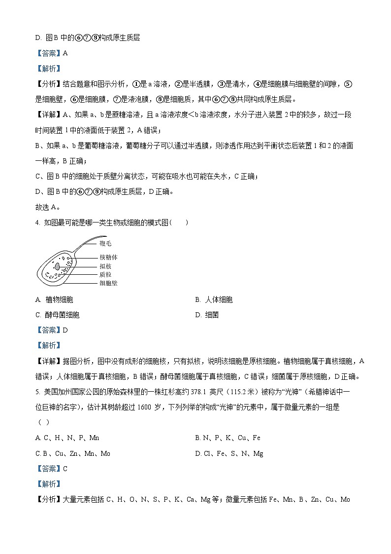 安徽省芜湖市安徽师范大学附中2023-2024学年高一上学期期末模拟生物试题（Word版附解析）03