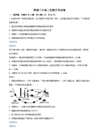 湖北省武汉市武钢三中2023-2024学年高三上学期1月月考生物试题（Word版附解析）