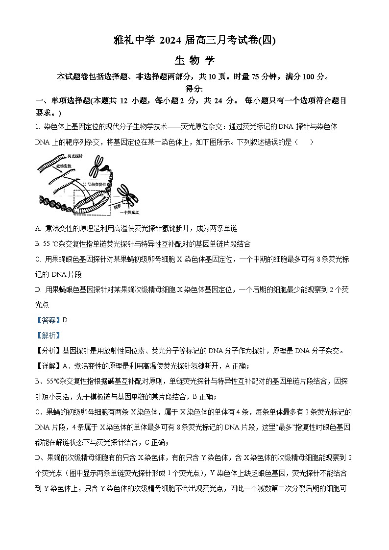 湖南省长沙市雅礼中学2023-2024学年高三上学期月考试卷（四）生物试题（Word版附解析）01