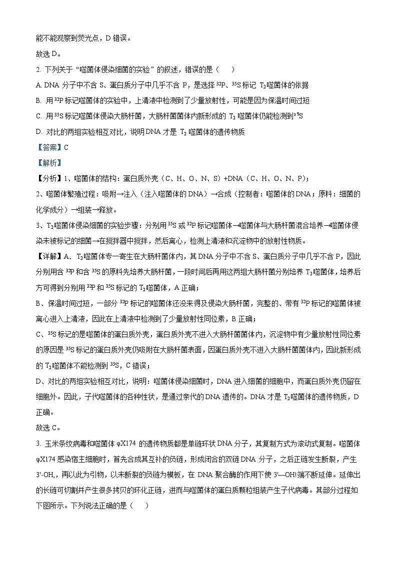 湖南省长沙市雅礼中学2023-2024学年高三上学期月考试卷（四）生物试题（Word版附解析）02