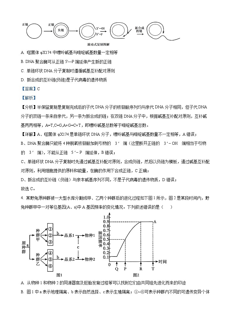 湖南省长沙市雅礼中学2023-2024学年高三上学期月考试卷（四）生物试题（Word版附解析）03