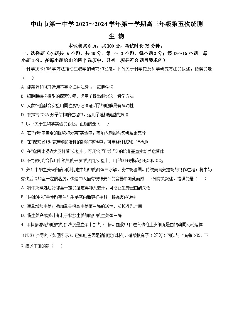 广东省中山市第一中学2023-2024学年高三上学期第五次统测生物试卷（Word版附解析）01