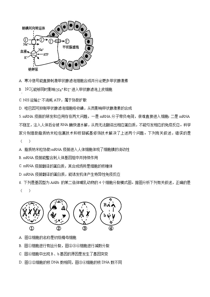 广东省中山市第一中学2023-2024学年高三上学期第五次统测生物试卷（Word版附解析）02