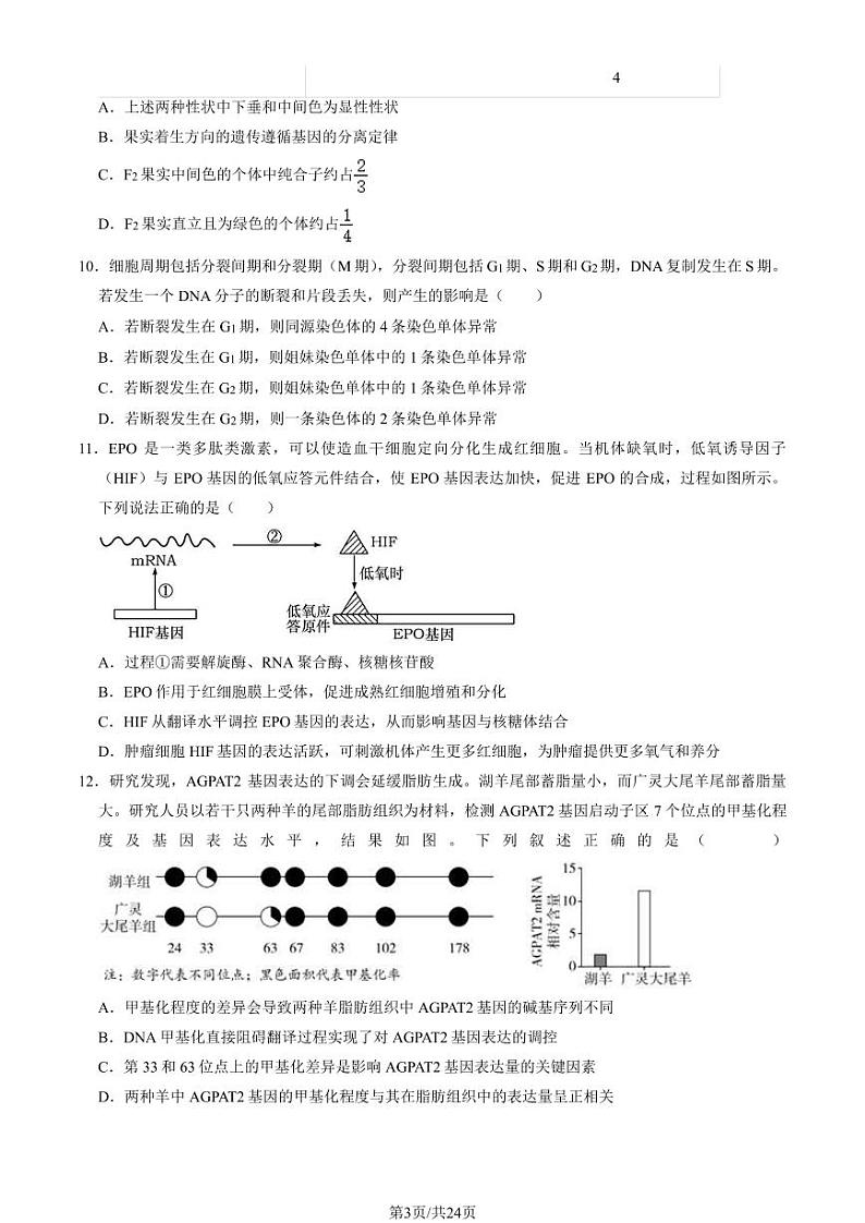 2023北京潞河中学高三上学期月考10月月考生物试题及答案第3页