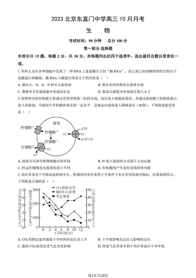 北京东直门中学高三上学期月考2023年10月月考生物试题及答案第1页