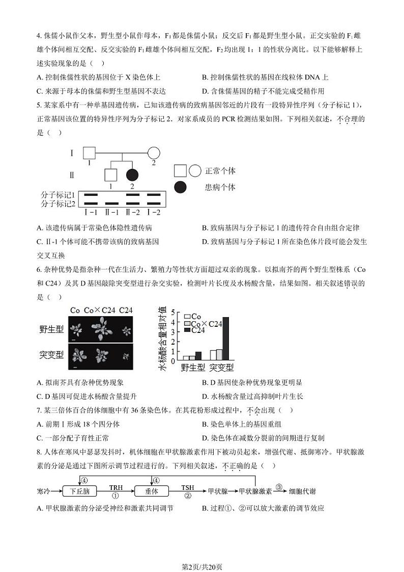 北京东直门中学高三上学期月考2023年10月月考生物试题及答案第2页