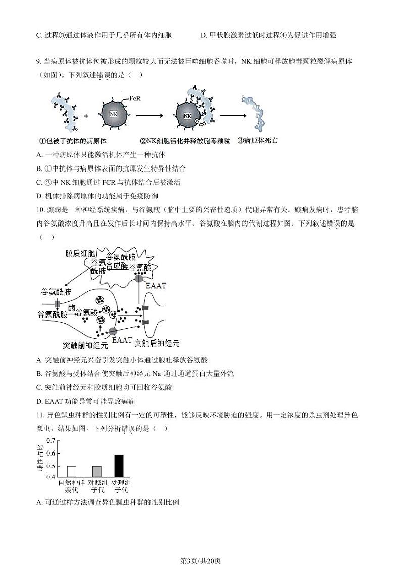北京东直门中学高三上学期月考2023年10月月考生物试题及答案第3页
