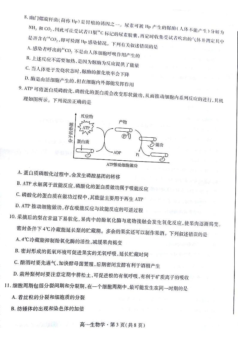 甘肃省2023-2024学年高一上学期1月期末生物试题03