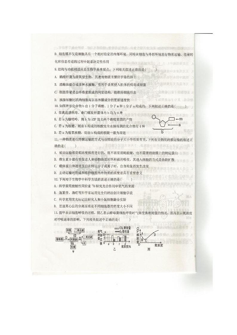 辽宁省抚顺市六校协作体2023-2024学年高一上学期期末生物试题（PDF版附答案）第3页