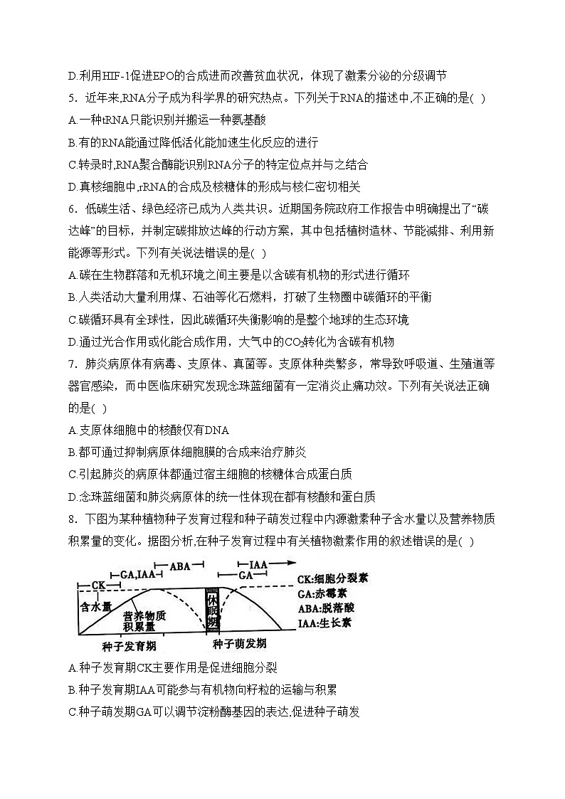 辽宁省北镇市第二高级中学、第三高级中学2024届高三上学期第四次月考生物试卷(含答案)第2页