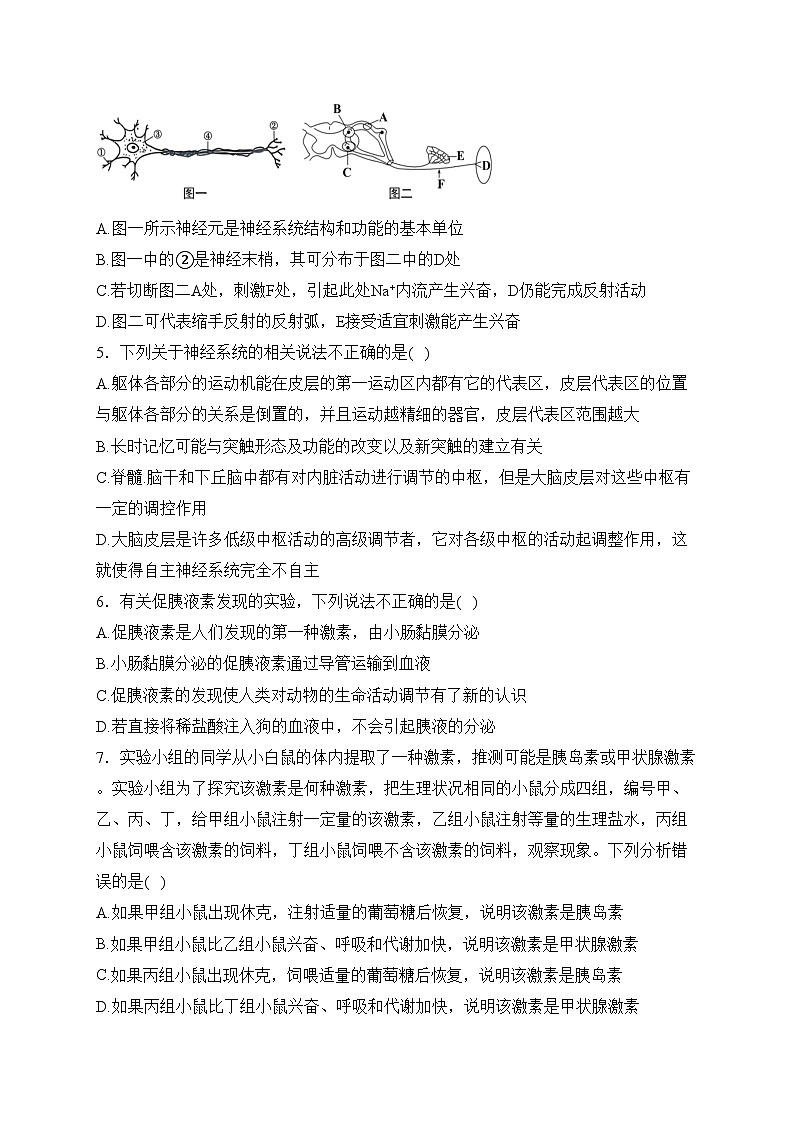 四川省射洪中学校2023-2024学年高二上学期第三次学月质量检测生物试卷(含答案)02