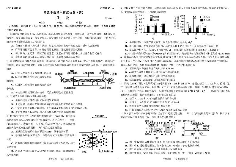 2024届山东省潍坊市昌乐二中高三模拟预测生物试题01