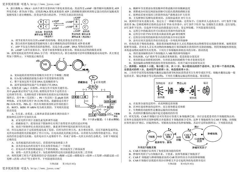 2024届山东省潍坊市昌乐二中高三模拟预测生物试题02