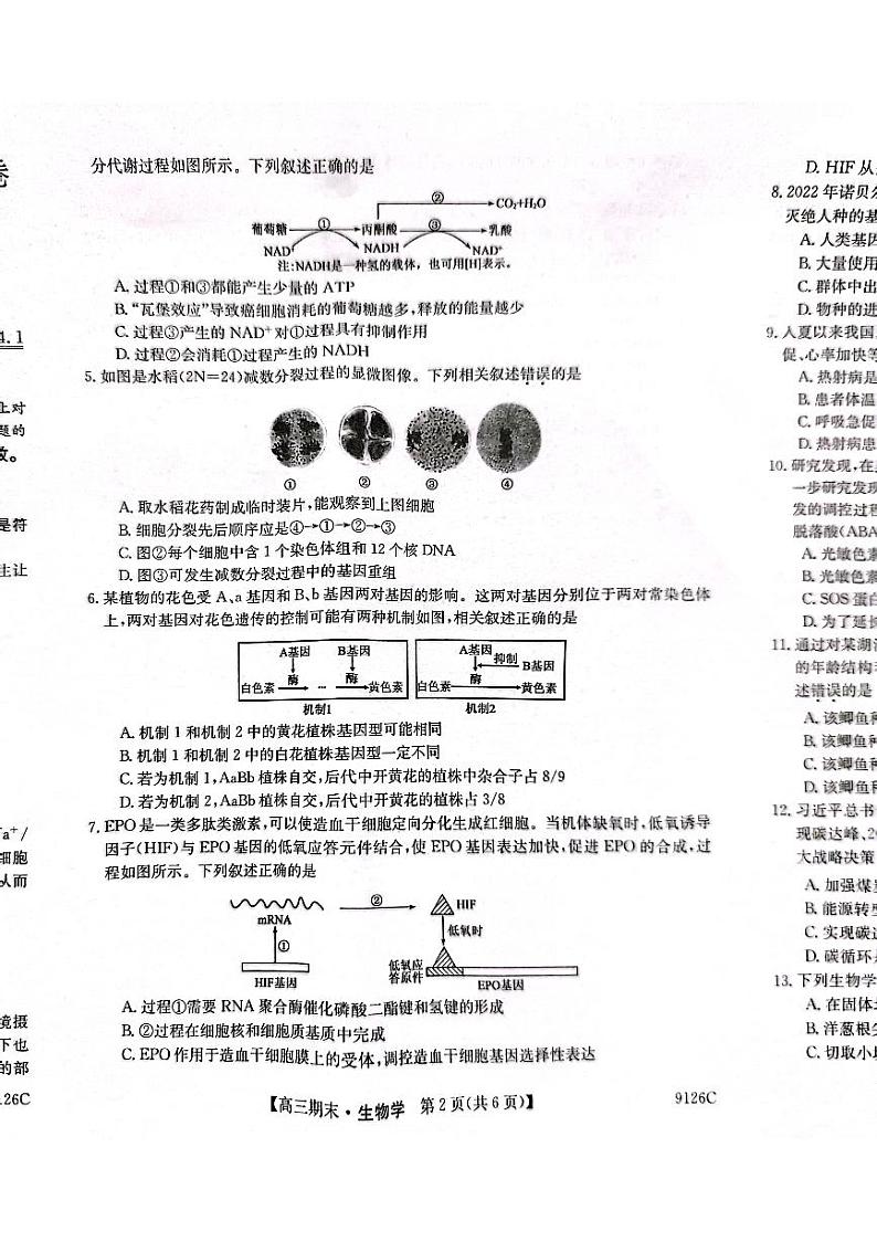 甘肃省酒泉市瓜州县第一中学2023-2024学年高三上学期1月期末考试生物第2页