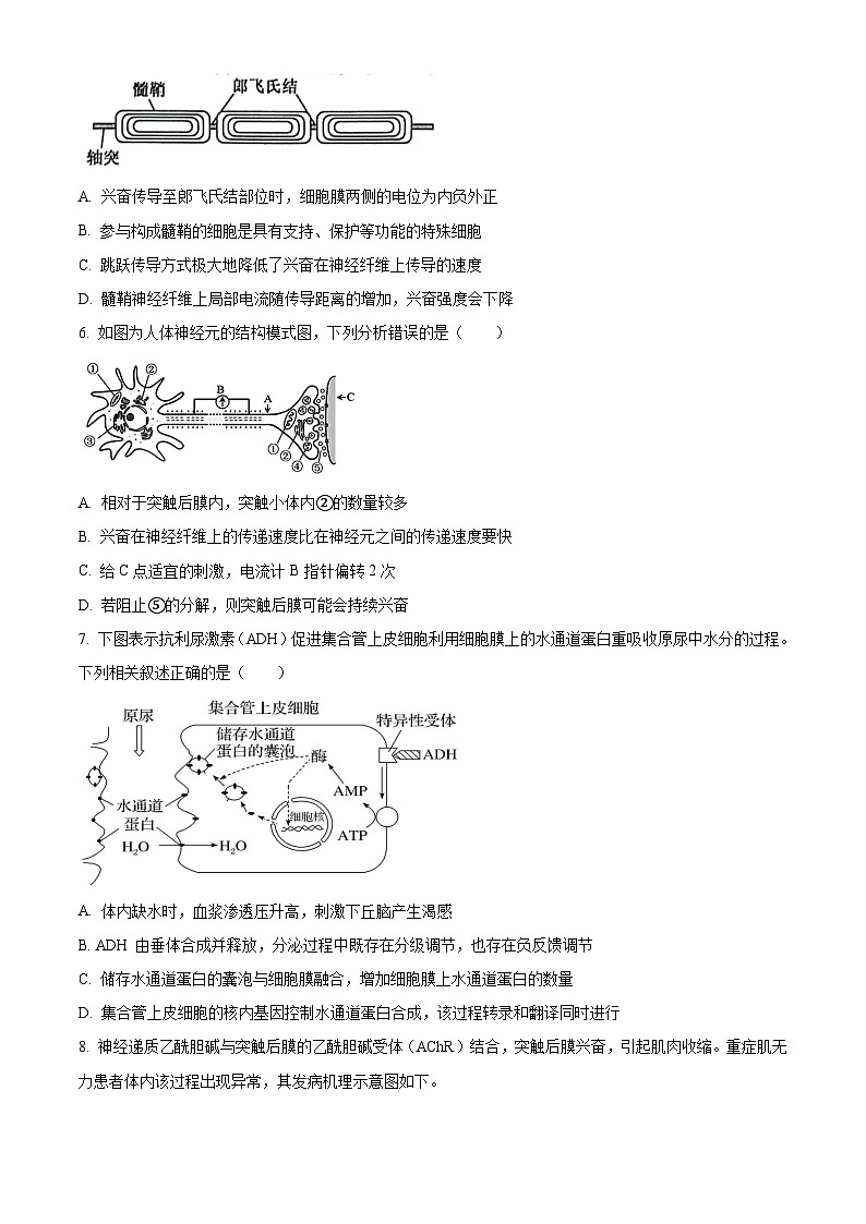 2024重庆黔江区黔江中学高二上学期12月月考生物试题含解析02