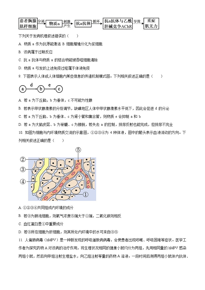 2024重庆黔江区黔江中学高二上学期12月月考生物试题含解析03